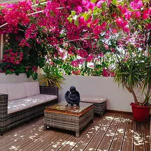 https://casa-da-avo-by-ammoniteco.hotelaalgarve.com